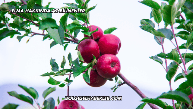 Elma Hakkında Az Bilinenler