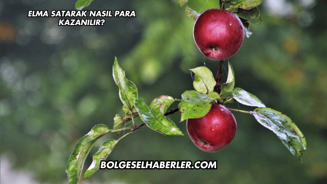 Elma Satarak Nasıl Para Kazanılır?
