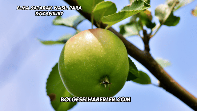Elma Satarak Nasıl Para Kazanılır?