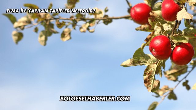 Elma ile Yapılan Tarifler Nelerdir?