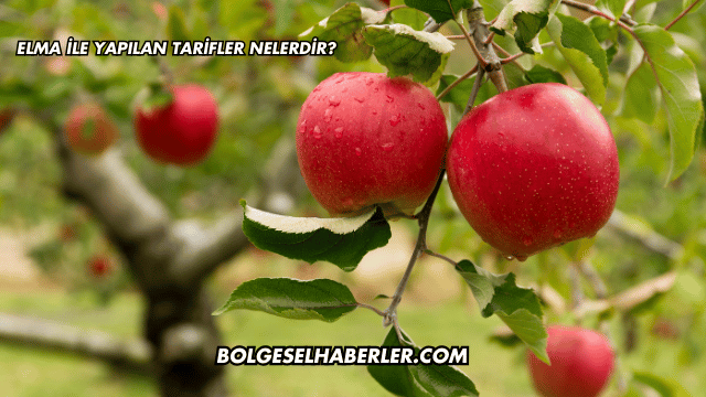 Elma ile Yapılan Tarifler Nelerdir?