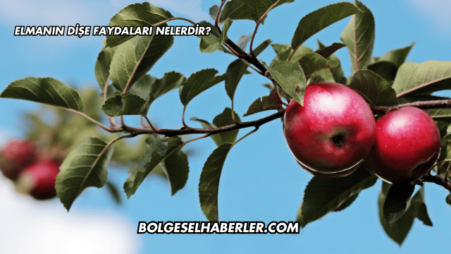 Elmanın Dişe Faydaları Nelerdir?