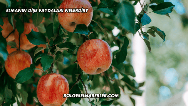 Elmanın Dişe Faydaları Nelerdir?