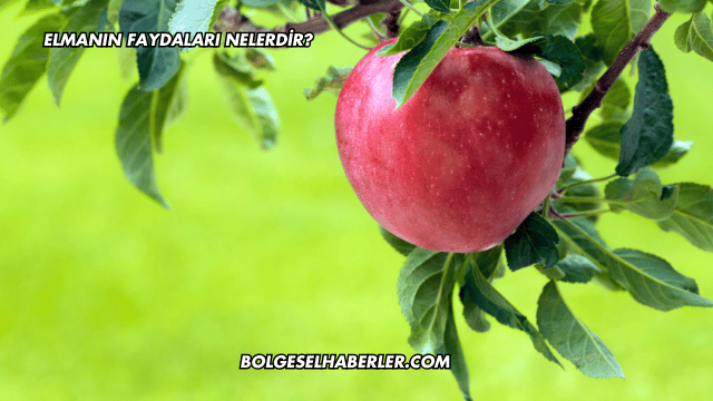 Elmanın Faydaları Nelerdir?
