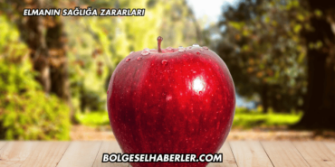 Elmanın Sağlığa Zararları
