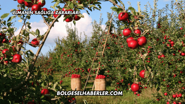 Elmanın Sağlığa Zararları
