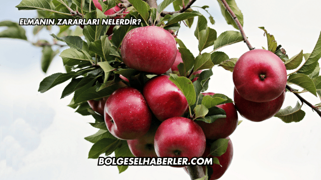 Elmanın Zararları Nelerdir?