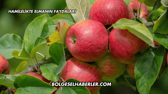 Hamilelikte Elmanın Faydaları