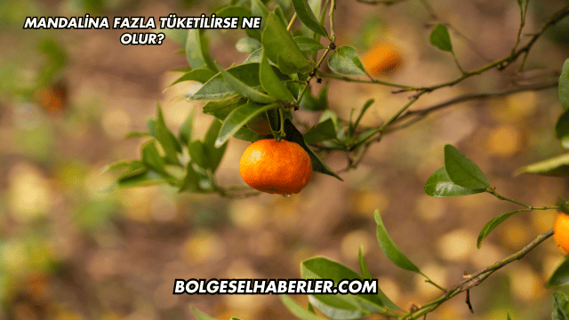 Mandalina Fazla Tüketilirse Ne Olur?