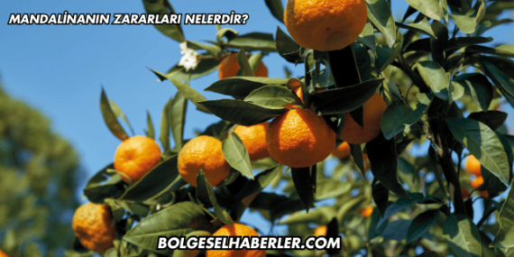 Mandalinanın Zararları Nelerdir?