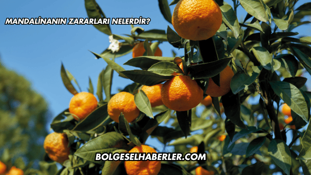 Mandalinanın Zararları Nelerdir?
