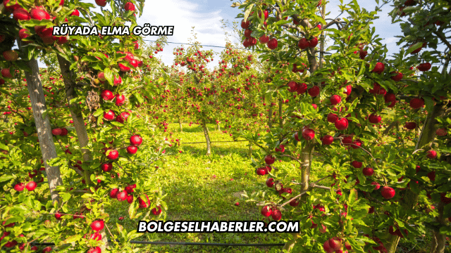 Rüyada Elma Görme