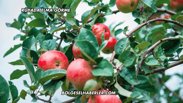 Rüyada Elma Görme
