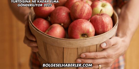 Yurtdışına Ne Kadar Elma Gönderiliyor 2025