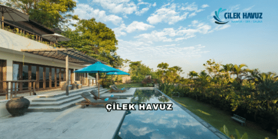 Çilek Havuz Hakkında