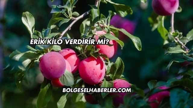 Erik Kilo Verdirir mi