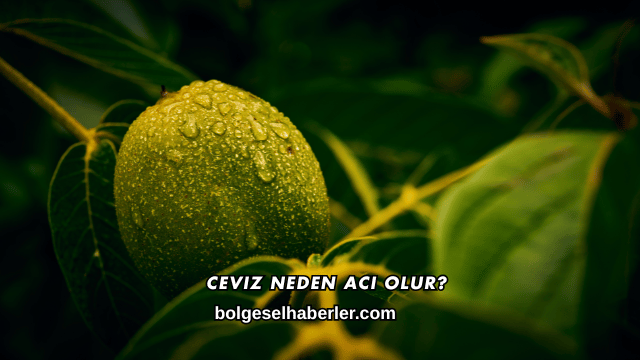 Ceviz Neden Acı Olur?