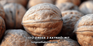 Ceviz Omega 3 Kaynağı mı