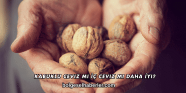Kabuklu Ceviz mi İç Ceviz mi Daha İyi?