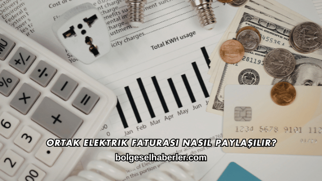 Ortak Elektrik Faturası Nasıl Paylaşılır?