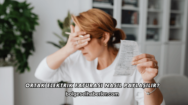 Ortak Elektrik Faturası Nasıl Paylaşılır?